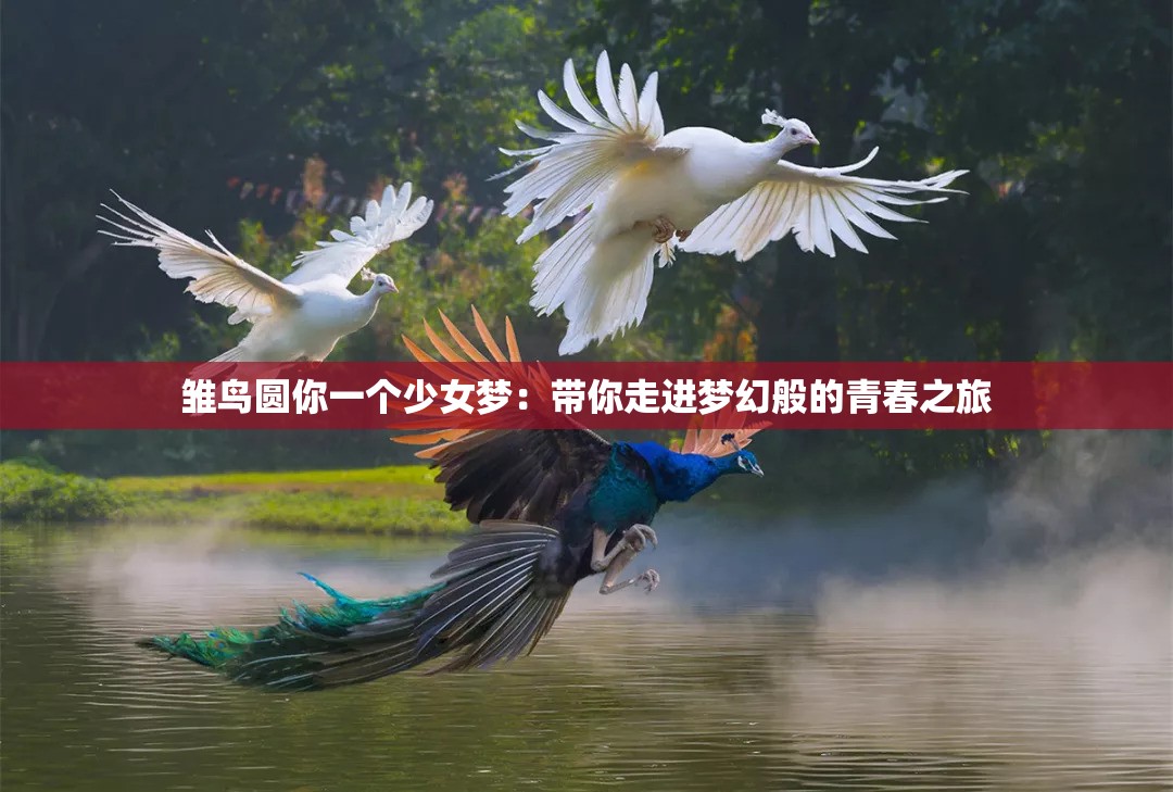 雏鸟圆你一个少女梦：带你走进梦幻般的青春之旅