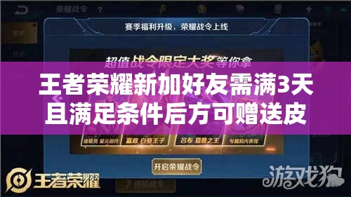 王者荣耀新加好友需满3天且满足条件后方可赠送皮肤规则揭秘