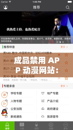 成品禁用 APP 动漫网站：深度解析其被禁背后的原因
