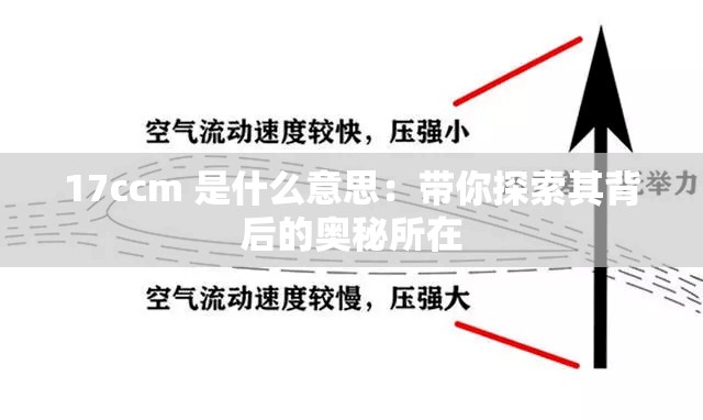 17ccm 是什么意思：带你探索其背后的奥秘所在
