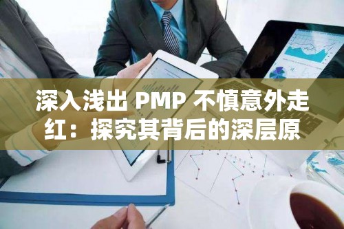 深入浅出 PMP 不慎意外走红：探究其背后的深层原因