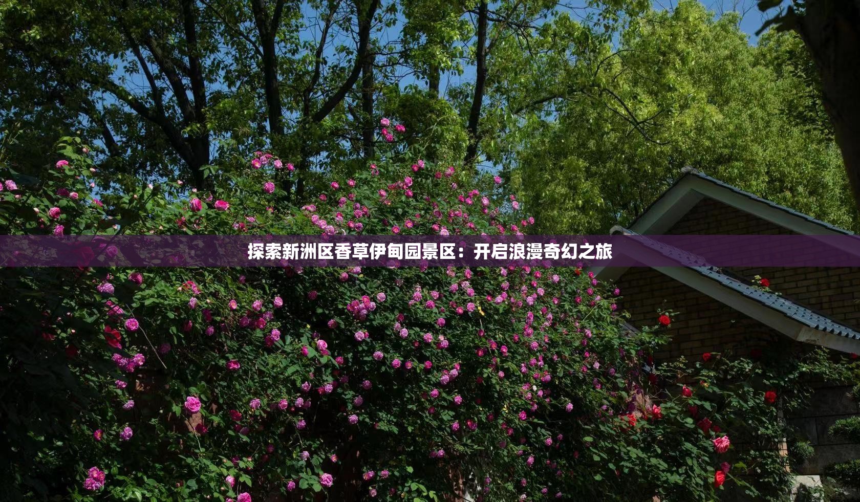 探索新洲区香草伊甸园景区：开启浪漫奇幻之旅