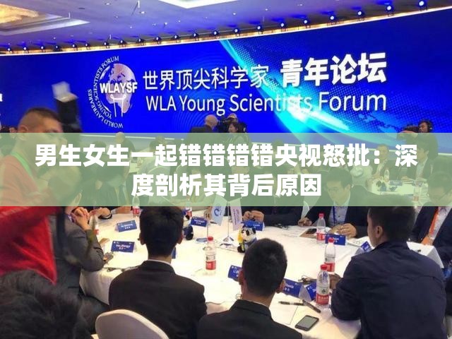 男生女生一起错错错错央视怒批：深度剖析其背后原因