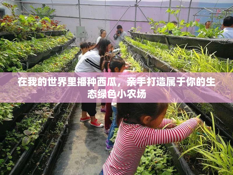 在我的世界里播种西瓜，亲手打造属于你的生态绿色小农场