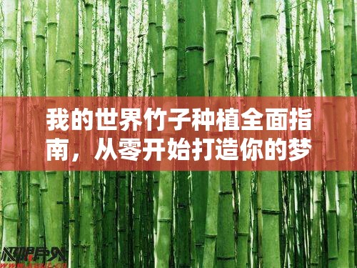 我的世界竹子种植全面指南，从零开始打造你的梦幻绿色竹林