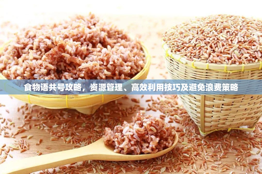 食物语共号攻略，资源管理、高效利用技巧及避免浪费策略