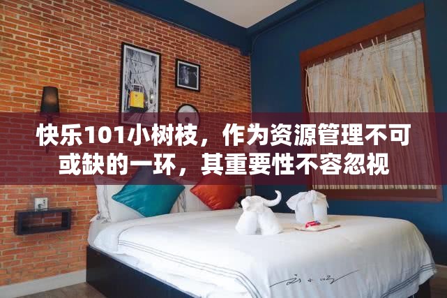 快乐101小树枝，作为资源管理不可或缺的一环，其重要性不容忽视