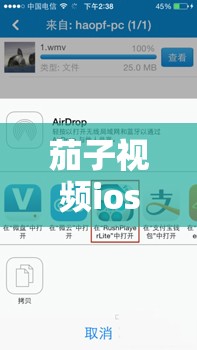 茄子视频ios无限下载免费看：警惕非法软件带来的风险与危害