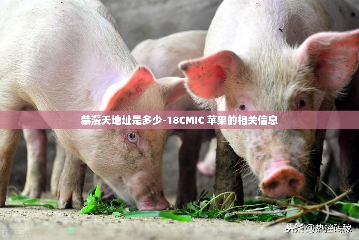 禁漫天地址是多少-18CMIC 苹果的相关信息