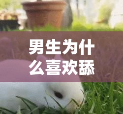 男生为什么喜欢舔你的小兔兔呢这其中的原因到底是什么
