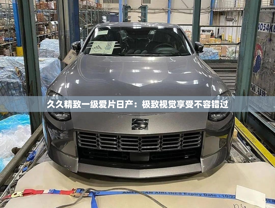 久久精致一级爱片日产：极致视觉享受不容错过