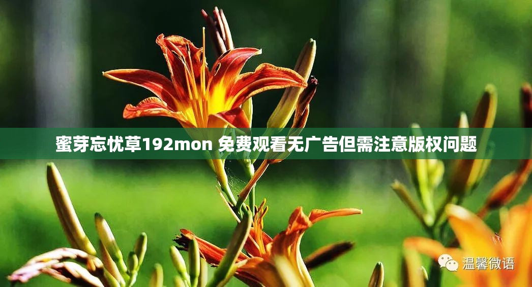 蜜芽忘忧草192mon 免费观看无广告但需注意版权问题