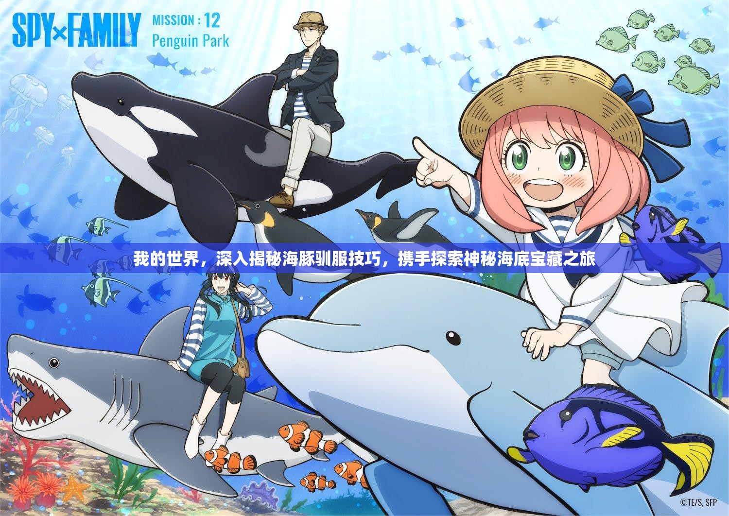 我的世界，深入揭秘海豚驯服技巧，携手探索神秘海底宝藏之旅