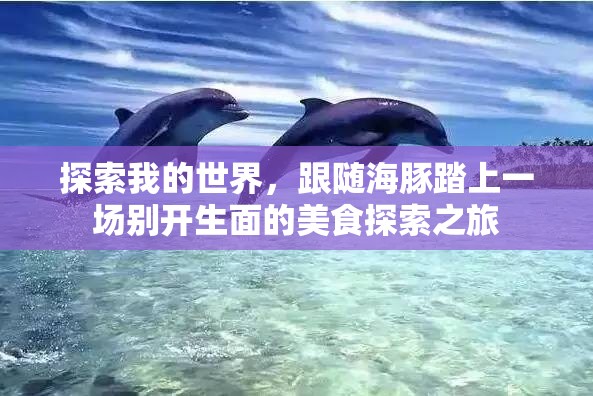 探索我的世界，跟随海豚踏上一场别开生面的美食探索之旅