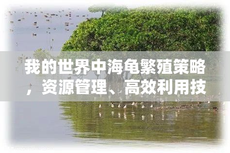 我的世界中海龟繁殖策略，资源管理、高效利用技巧以最大化繁殖价值