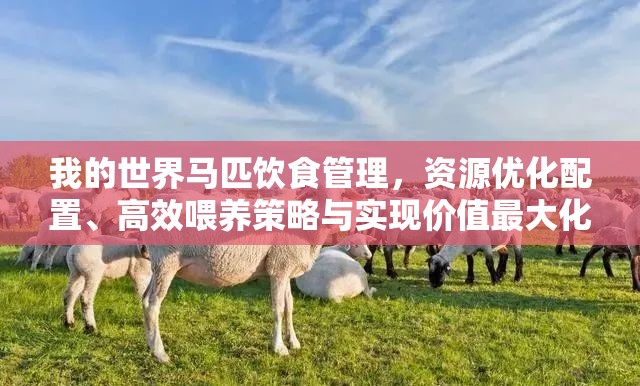 我的世界马匹饮食管理，资源优化配置、高效喂养策略与实现价值最大化