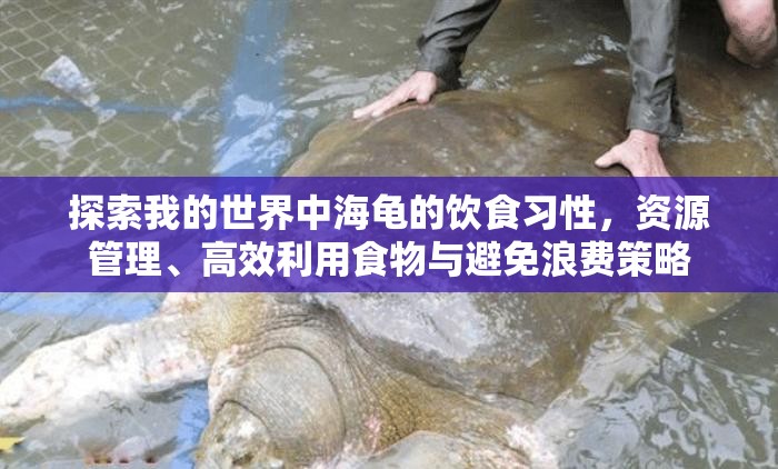探索我的世界中海龟的饮食习性，资源管理、高效利用食物与避免浪费策略