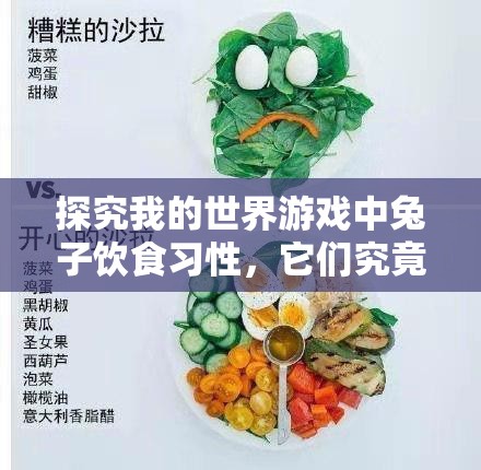 探究我的世界游戏中兔子饮食习性，它们究竟偏爱哪些食物？