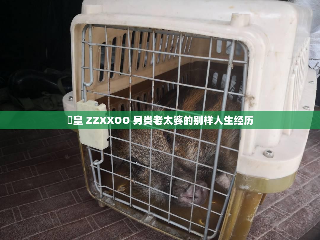 嘼皇 ZZXXOO 另类老太婆的别样人生经历