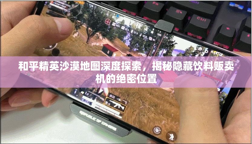 和平精英沙漠地图深度探索，揭秘隐藏饮料贩卖机的绝密位置