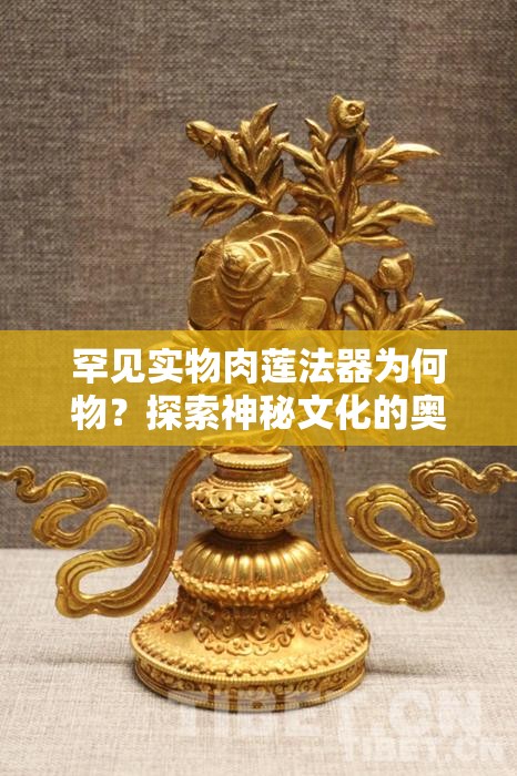 罕见实物肉莲法器为何物？探索神秘文化的奥秘
