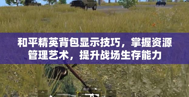 和平精英背包显示技巧，掌握资源管理艺术，提升战场生存能力