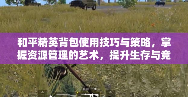 和平精英背包使用技巧与策略，掌握资源管理的艺术，提升生存与竞技能力