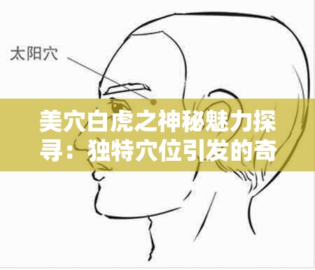 美穴白虎之神秘魅力探寻：独特穴位引发的奇妙探索
