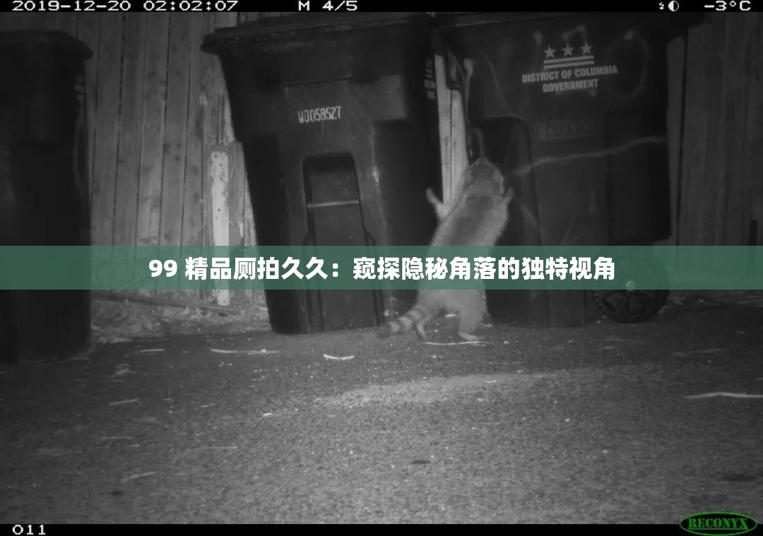 99 精品厕拍久久：窥探隐秘角落的独特视角