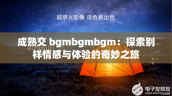 成熟交 bgmbgmbgm：探索别样情感与体验的奇妙之旅