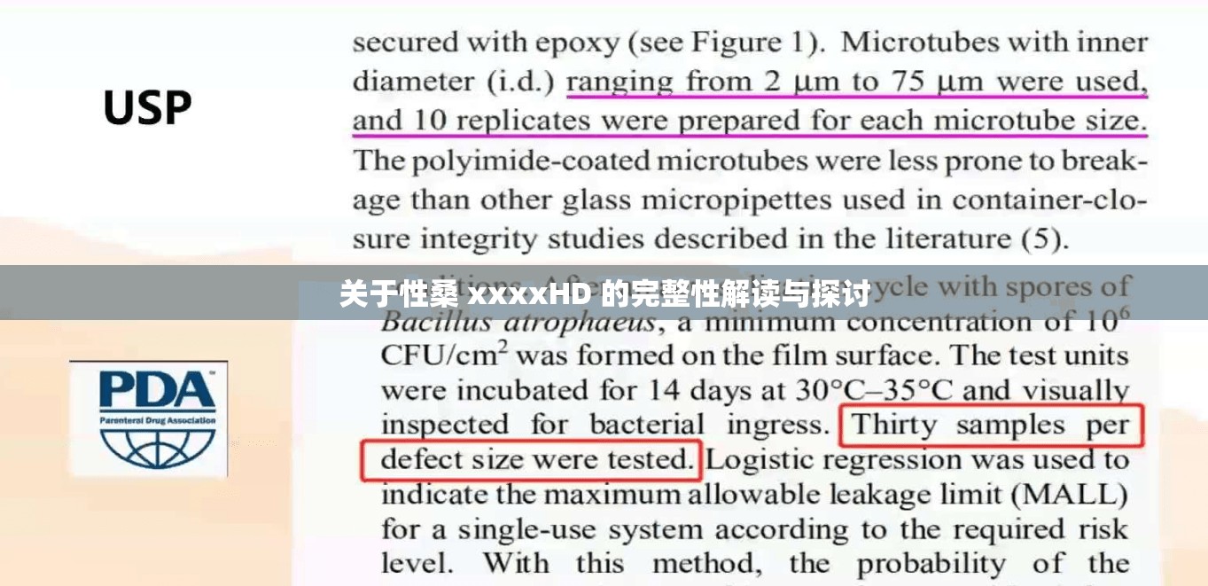 关于性桑 xxxxHD 的完整性解读与探讨