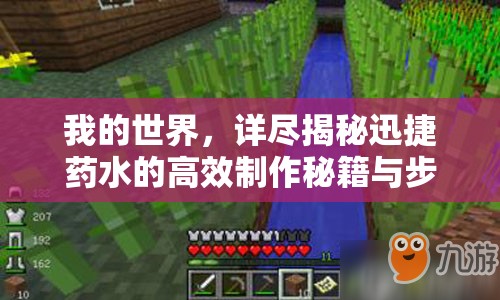 我的世界，详尽揭秘迅捷药水的高效制作秘籍与步骤