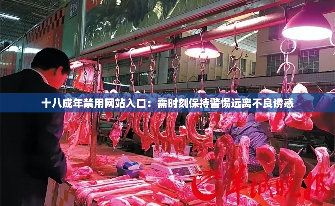 十八成年禁用网站入口：需时刻保持警惕远离不良诱惑