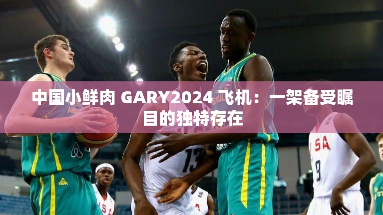中国小鲜肉 GARY2024 飞机：一架备受瞩目的独特存在