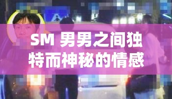SM 男男之间独特而神秘的情感纠葛与探索