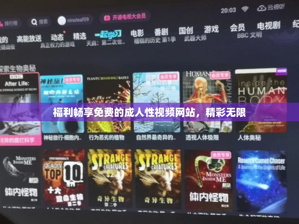 福利畅享免费的成人性视频网站，精彩无限