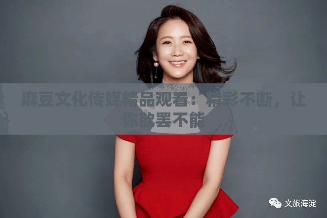 麻豆文化传媒精品观看：精彩不断，让你欲罢不能