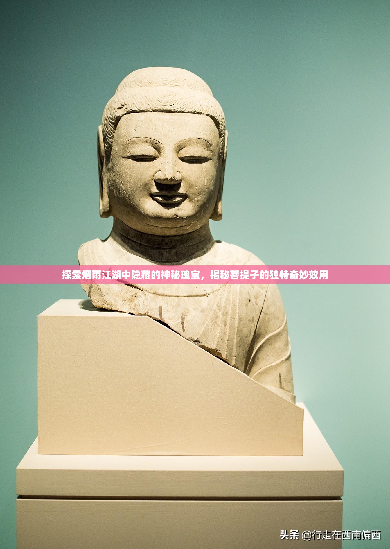 探索烟雨江湖中隐藏的神秘瑰宝，揭秘菩提子的独特奇妙效用