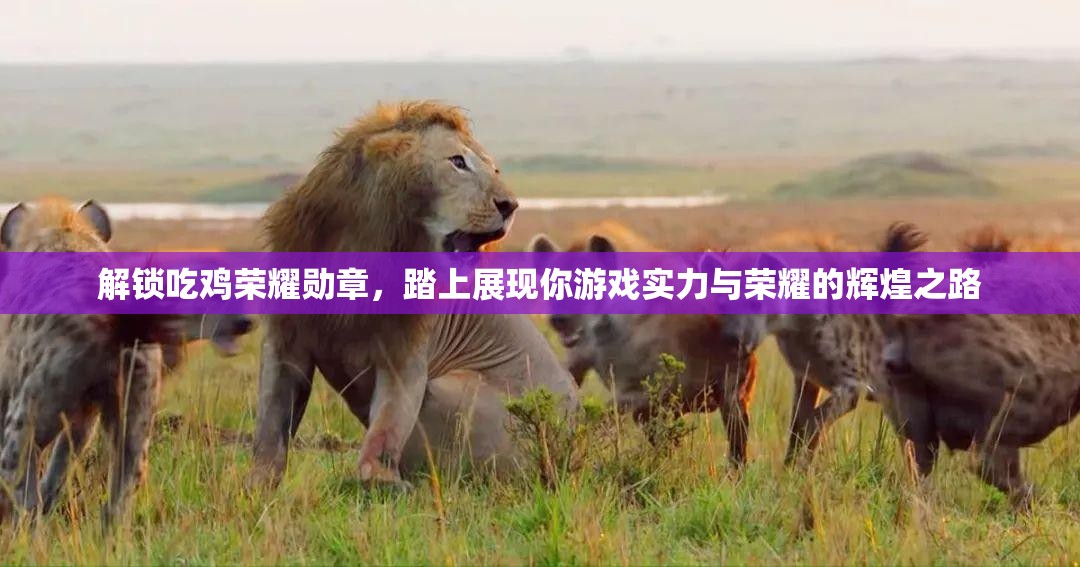 解锁吃鸡荣耀勋章，踏上展现你游戏实力与荣耀的辉煌之路