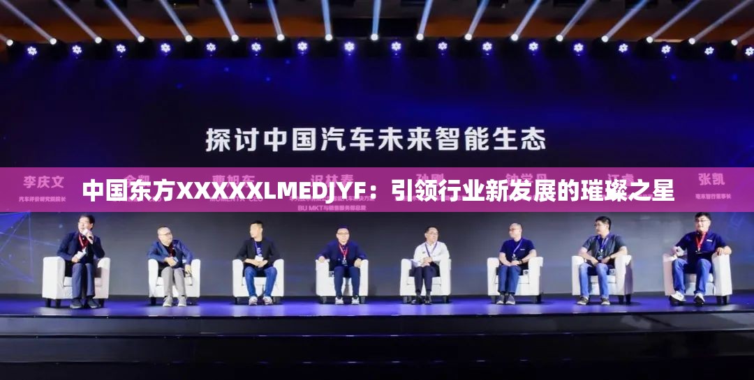 中国东方XXXXXLMEDJYF：引领行业新发展的璀璨之星