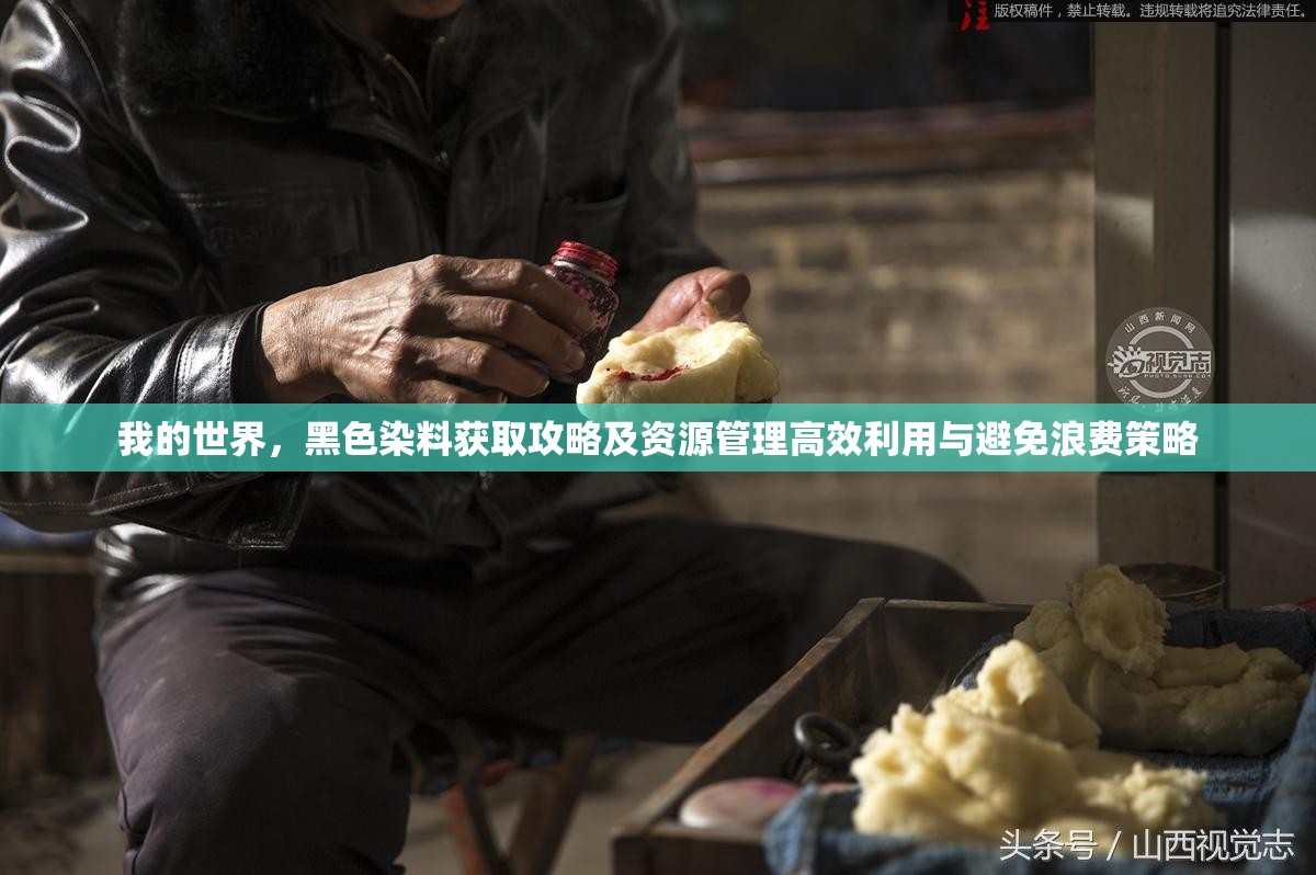 我的世界，黑色染料获取攻略及资源管理高效利用与避免浪费策略