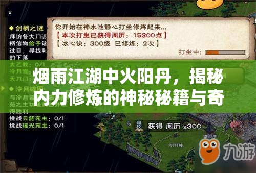 烟雨江湖中火阳丹，揭秘内力修炼的神秘秘籍与奇效