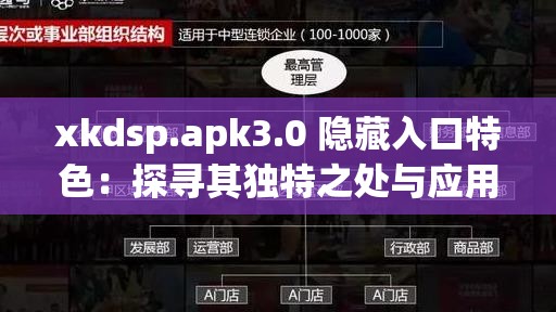 xkdsp.apk3.0 隐藏入口特色：探寻其独特之处与应用场景