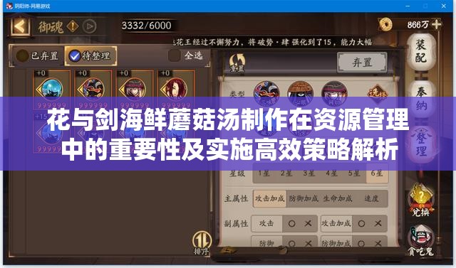 花与剑海鲜蘑菇汤制作在资源管理中的重要性及实施高效策略解析