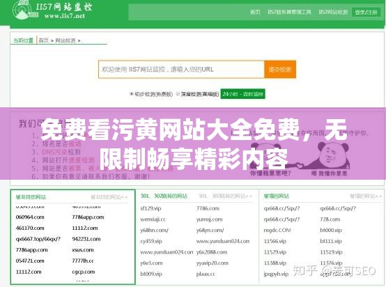 免费看污黄网站大全免费，无限制畅享精彩内容