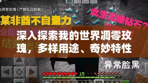 深入探索我的世界凋零玫瑰，多样用途、奇妙特性及全面解析