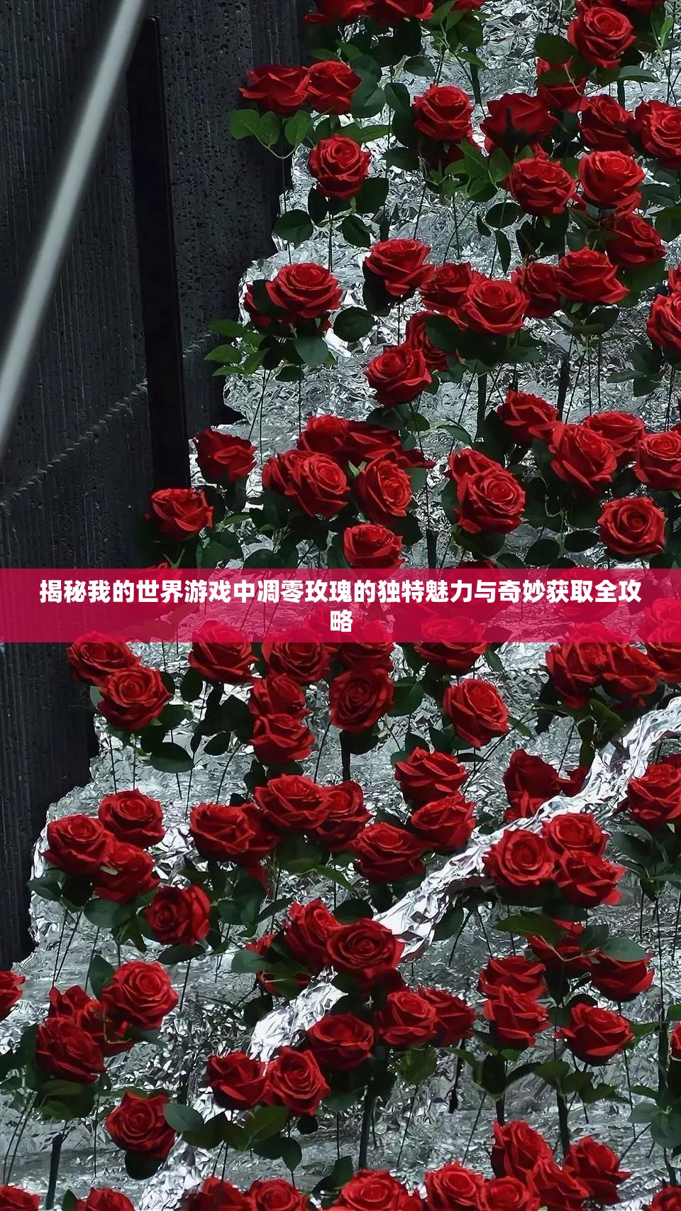 揭秘我的世界游戏中凋零玫瑰的独特魅力与奇妙获取全攻略