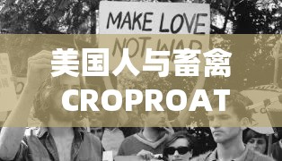 美国人与畜禽 CROPROATION：文化差异与农业生产模式的碰撞