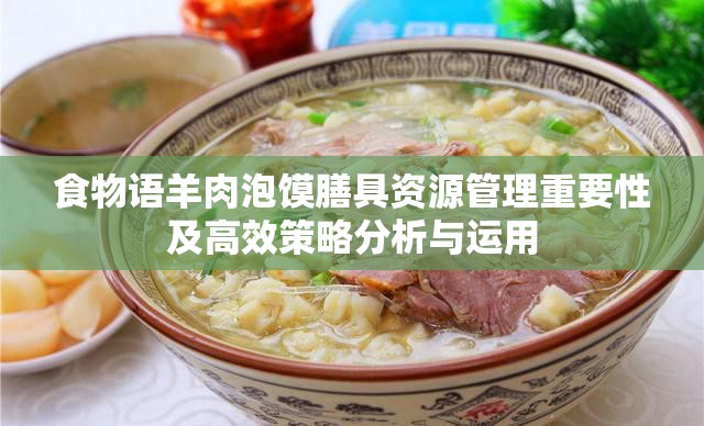 食物语羊肉泡馍膳具资源管理重要性及高效策略分析与运用