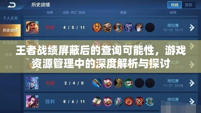 王者战绩屏蔽后的查询可能性，游戏资源管理中的深度解析与探讨